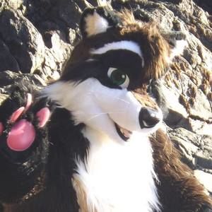 Meet your Posher, Ed